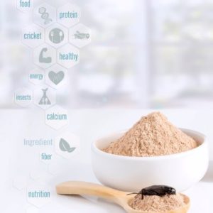 protein flour